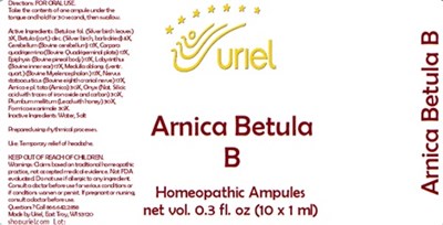 Arnica Betula B Ampules (Arnica Betula B Ampules)